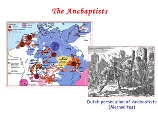The Anabaptists Dutch persecution of Anabaptists (Mennonites) 