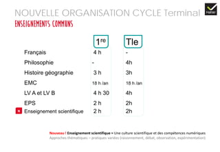 NOUVELLE ORGANISATION CYCLE Terminal
Enseignements communs
Nouveau ! Enseignement scientifique = Une culture scientifique et des compétences numériques
Approches thématiques – pratiques variées (raisonnement, débat, observation, expérimentation)s
de toutes les disciplines scientifiques
Français 4 h -
Philosophie - 4h
Histoire géographie 3 h 3h
EMC 18 h /an 18 h /an
LV A et LV B 4 h 30 4h
EPS 2 h 2h
Enseignement scientifique 2 h 2h
1re Tle
N
 