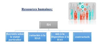 Ressources humaines:
RH
Recrutés selon
le statut
particulier
rattachés à la
HAS
mis à la
disposition à la
HAS
contractuels
 
