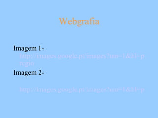 Webgrafia Imagem 1- http://images.google.pt/images?um=1&hl=pt-PT&q=erario+ regio Imagem 2- http://images.google.pt/images?um=1&hl=pt-PT&q=marques+de+pombal 