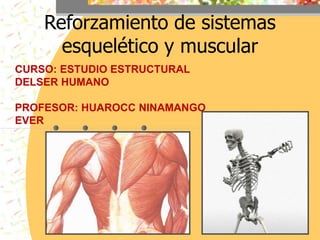 Reforzamiento de sistemas
esquelético y muscular
CURSO: ESTUDIO ESTRUCTURAL
DELSER HUMANO
PROFESOR: HUAROCC NINAMANGO
EVER
 