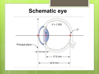 Schematic eye
 