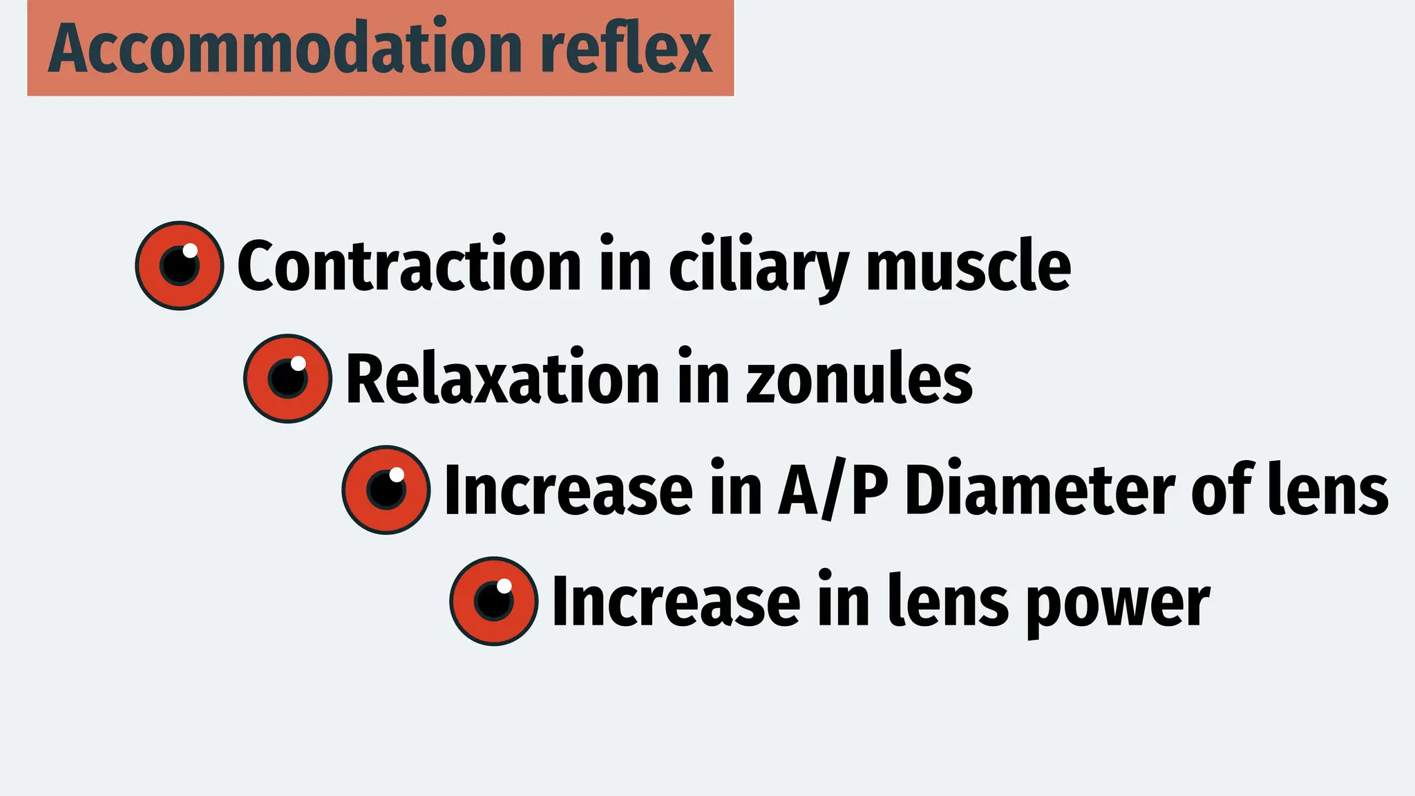Accommodation reflex
Contraction in ciliary muscle
Relaxation in zonules
Increase in A/P Diameter of lens
Increase in lens power
 