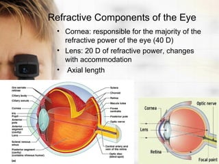 Refractive Components of the Eye
 • Cornea: responsible for the majority of the
   refractive power of the eye (40 D)
 • Lens: 20 D of refractive power, changes
   with accommodation
 • Axial length
 