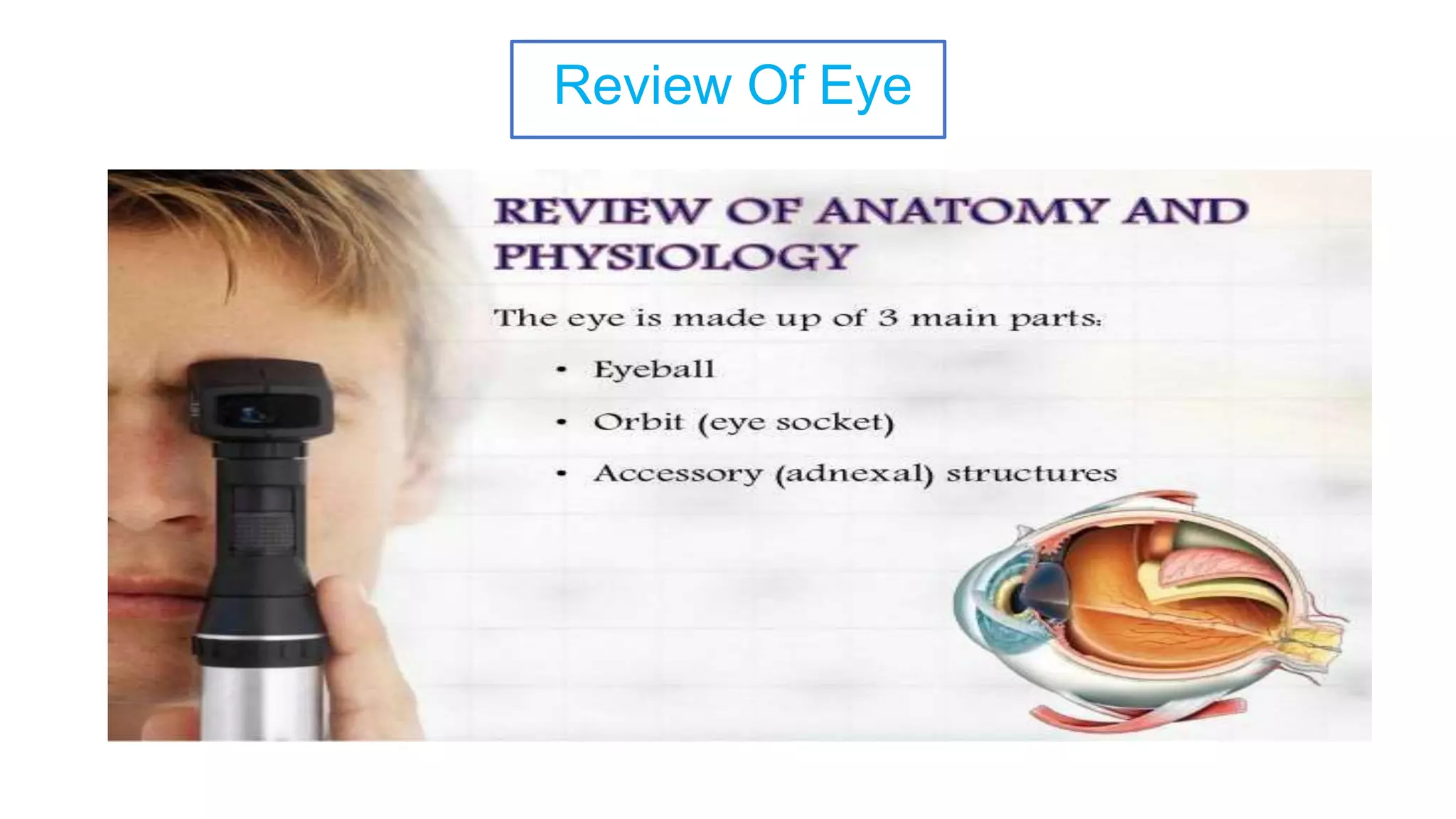 Review Of Eye
 