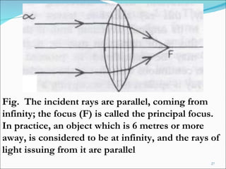 Fig.  The incident rays are parallel, coming from infinity; the focus (F) is called the principal focus. In practice, an object which is 6 metres or more away, is considered to be at infinity, and the rays of light issuing from it are parallel 