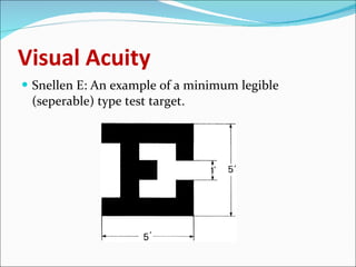 Ophthalmology 5th year, 4th lecture (Dr. Tara) | PPT