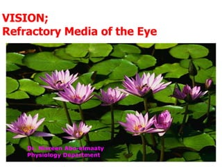 VISION; Refractory Media of the Eye Dr. Nisreen Abo-elmaaty Physiology Department 