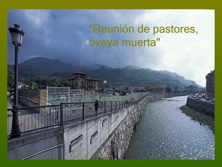 "Reunión de pastores, oveya muerta"  