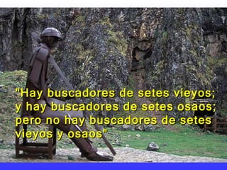 "Hay buscadores de setes vieyos; y hay buscadores de setes osaos; pero no hay buscadores de setes vieyos y osaos"  