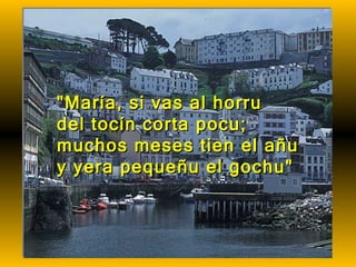 "María, si vas al horru  del tocín corta pocu;  muchos meses tien el añu  y yera pequeñu el gochu"  