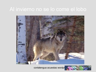Al invierno no se lo come el lobo 
conlalengua acuestas wordpress.com 
 