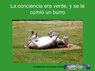 La conciencia era verde, y se la 
comió un burro 
conlalengua acuestas wordpress.com 
 