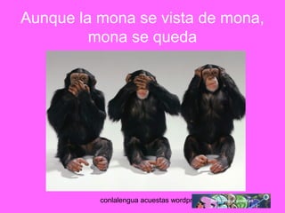 Aunque la mona se vista de mona, 
mona se queda 
conlalengua acuestas wordpress.com 
 