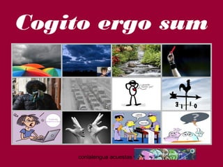 Cogito ergo sum 
conlalengua acuestas wordpress.com 
 