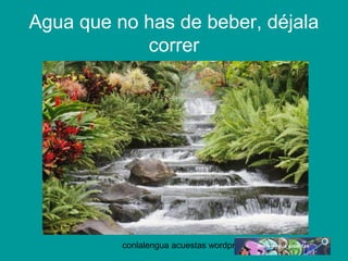 Agua que no has de beber, déjala 
correr 
conlalengua acuestas wordpress.com 
 
