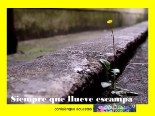 Siempre que llueve escampa 
conlalengua acuestas wordpress.com 
 