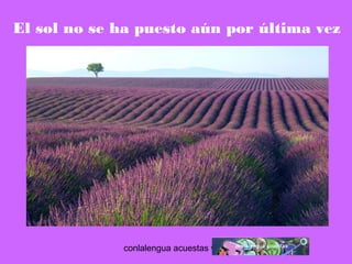 El sol no se ha puesto aún por última vez 
conlalengua acuestas wordpress.com 
 