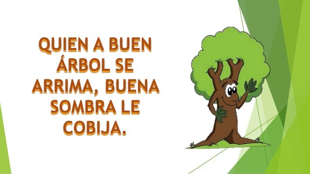 Refranes sobre el bosque y las plantas.