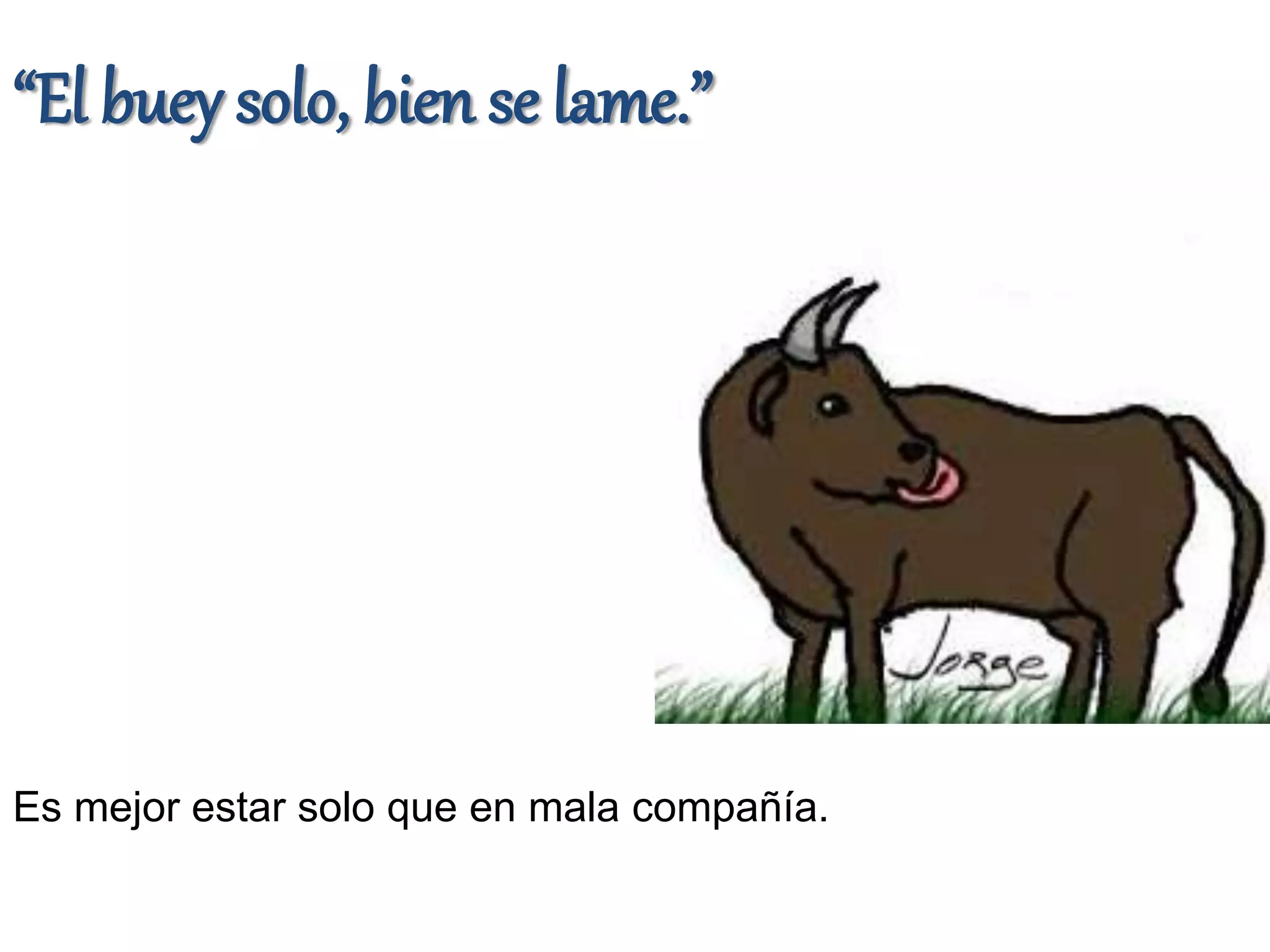 Refranes con animales | PPT | Descarga Gratuita