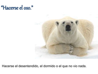 Refranes con animales | PPTX