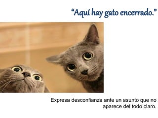 Refranes con animales | PPTX