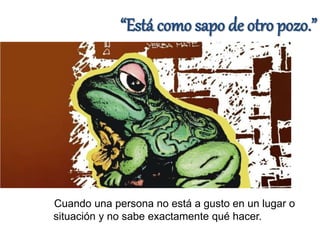Refranes con animales | PPTX