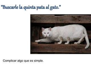 Refranes con animales | PPTX