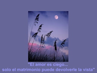 "El amor es ciego... solo el matrimonio puede devolverle la vista"