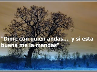 "Dime con quien andas... y si esta buena me la mandas"