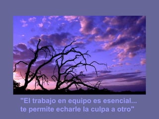 "El trabajo en equipo es esencial... te permite echarle la culpa a otro"