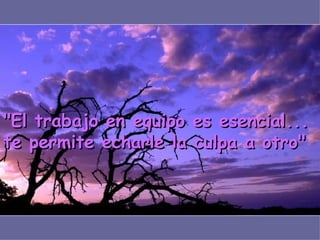 "El trabajo en equipo es esencial... te permite echarle la culpa a otro"