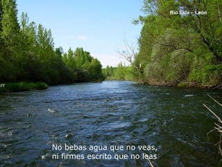 No bebas agua que no veas,
ni firmes escrito que no leas
Rio Esla - León
 