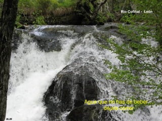 Agua que no has de beber…
déjala correr
Río Cofiñal - León
 