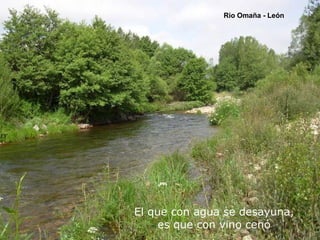 El que con agua se desayuna,
es que con vino cenó
Rio Omaña - León
 