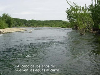 Al cabo de los años mil,
vuelven las aguas al carril
Rio Orbigo - León
 