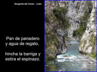 Pan de panadero
y agua de regato,
hincha la barriga y
estira el espinazo.
Garganta del Cares - León
 