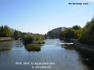 Rio Bernesga -LeónRio Bernesga -León
Abril, abril, tu agua para otro,
tu sol para mí.
 