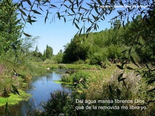 Del agua mansa líbrenos Dios,
que de la removida me libro yo.
Laguna - Benavides de orbigo
 