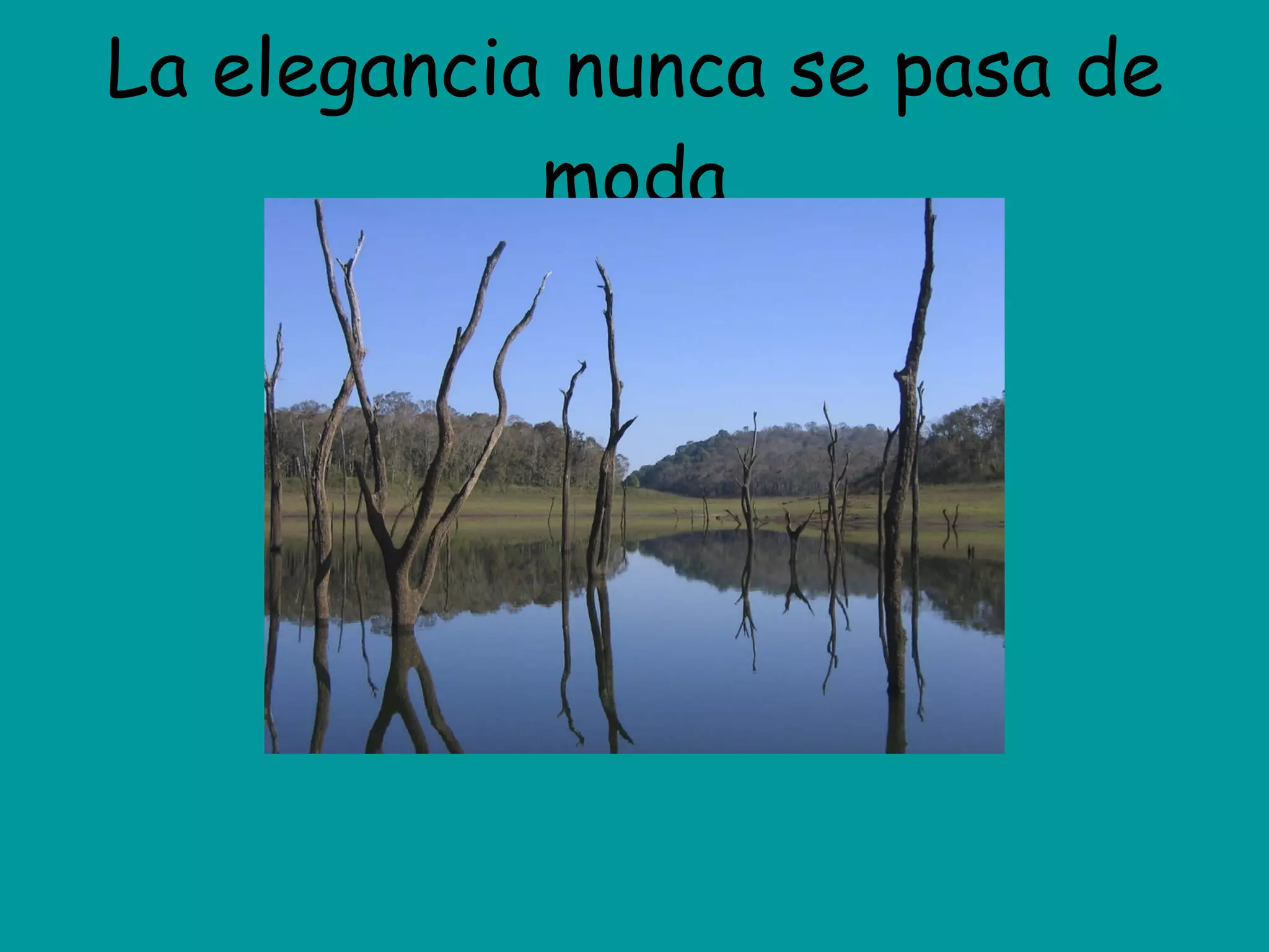 La elegancia nunca se pasa de moda