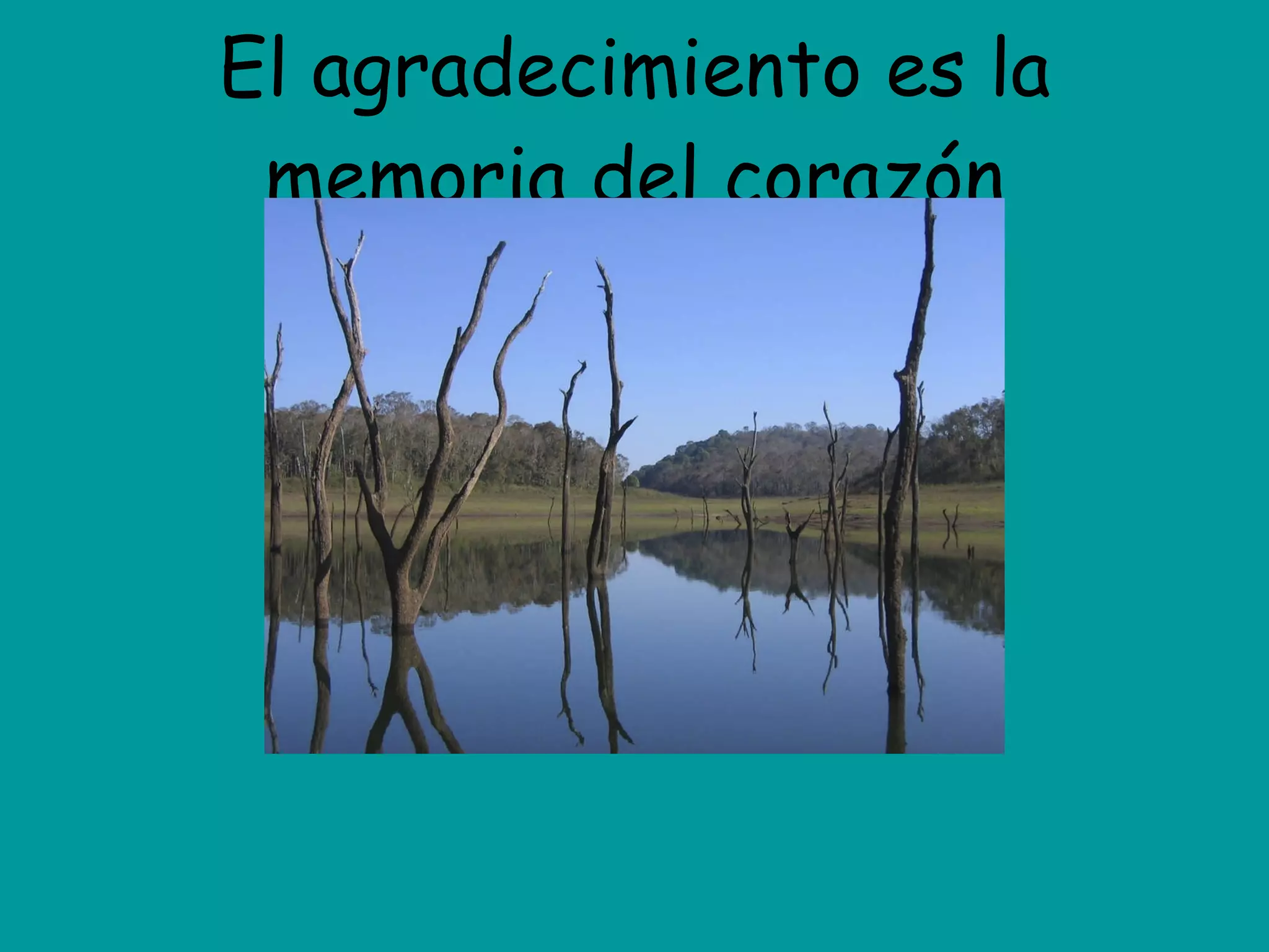 El agradecimiento es la memoria del corazón