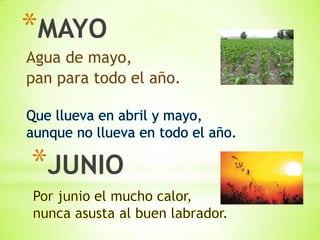 *MAYO
*JUNIO
 