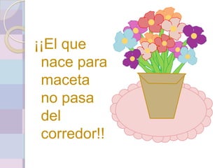 ¡¡El que
 nace para
 maceta
 no pasa
 del
 corredor!!
 