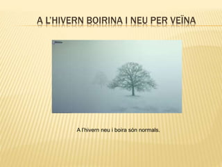 A L’HIVERN BOIRINA I NEU PER VEÏNA
A l’hivern neu i boira són normals.
 