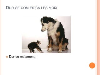DUR-SE COM ES CA I ES MOIX
 Dur-se malament.
 