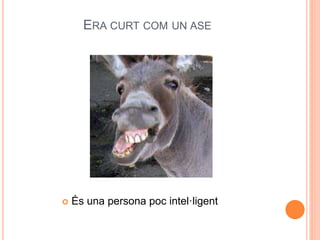 ERA CURT COM UN ASE
 És una persona poc intel·ligent
 