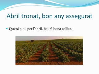 Abril tronat, bon any assegurat
 Que si plou per l’abril, haurà bona collita.
 