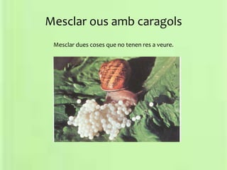 Mesclar ous amb caragols
Mesclar dues coses que no tenen res a veure.
 