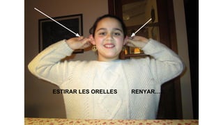 ESTIRAR LES ORELLES

RENYAR…...

 