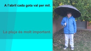 A l’abril cada gota val per mil.

La pluja és molt important.

 